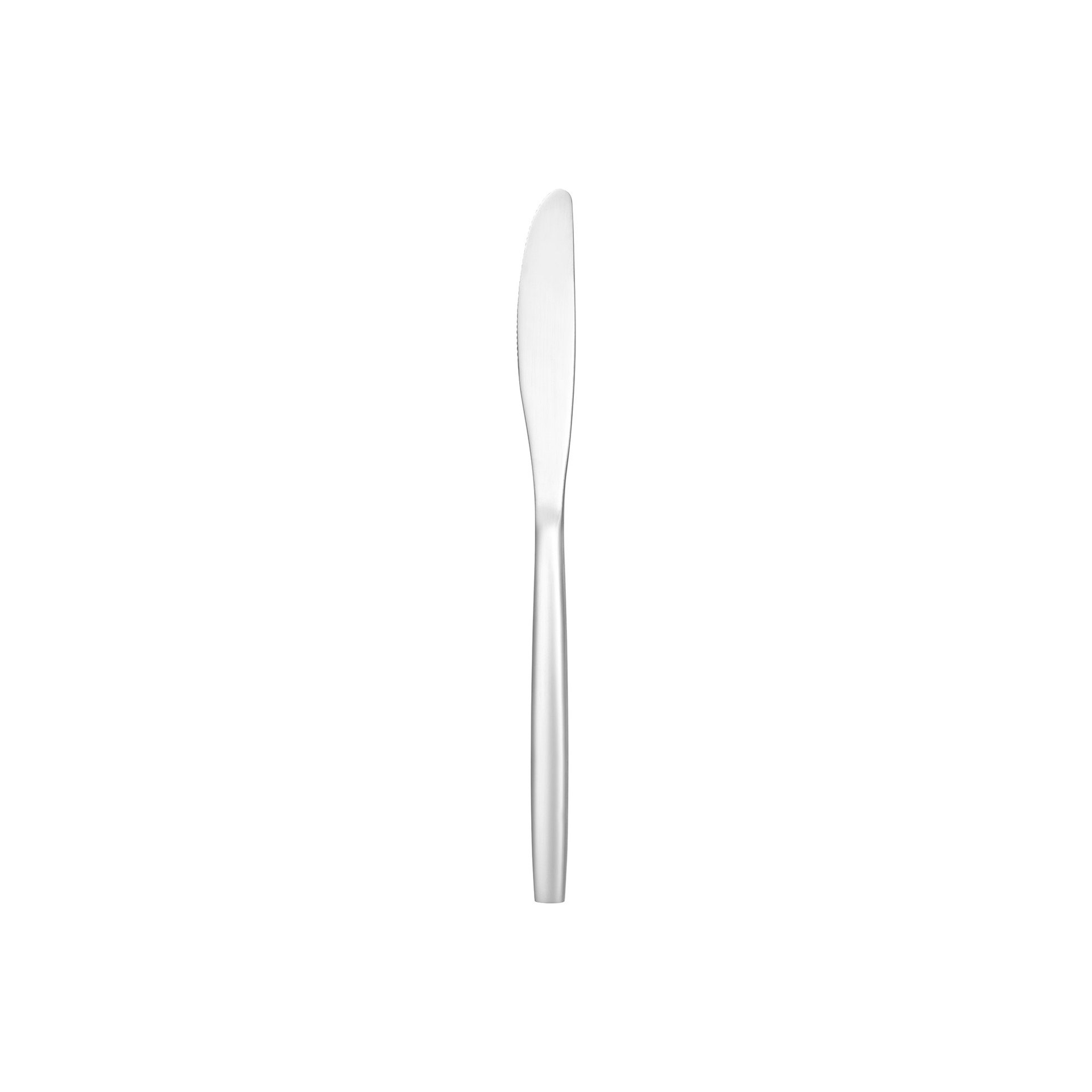 Menümesser (L) 21 cm, Serie NP80