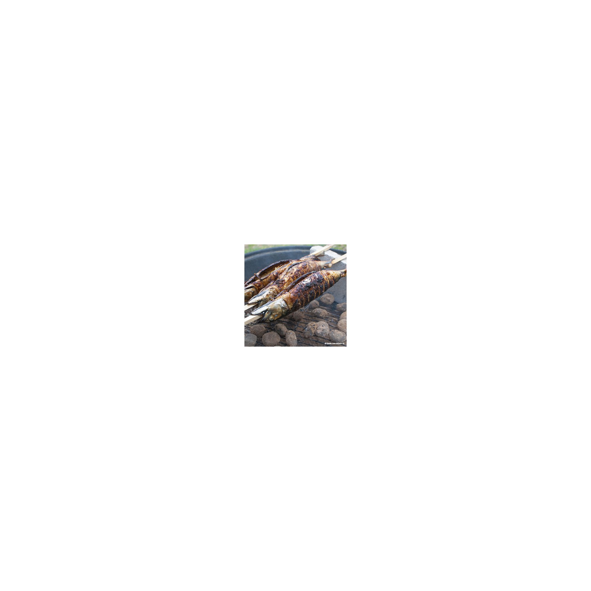 Grill-Spieße "pure" 80 cm x 8 mm x 8 mm "Steckerlfisch" Grill-Spieße "pure" 80 cm x 8 mm x 8 mm "Steckerlfisch"