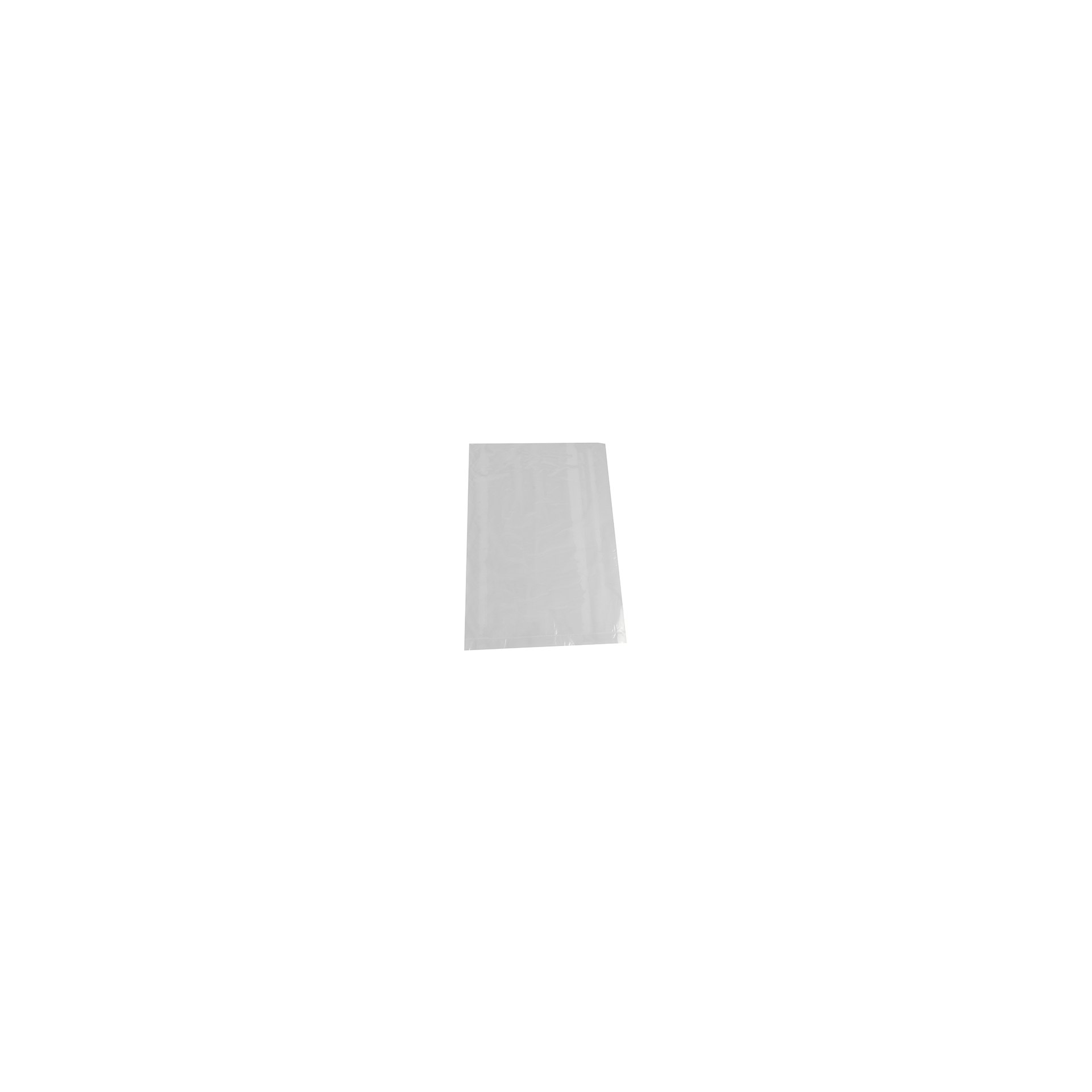 Flachbeutel, LDPE 24 cm x 16 cm transparent Flachbeutel, LDPE 24 cm x 16 cm transparent