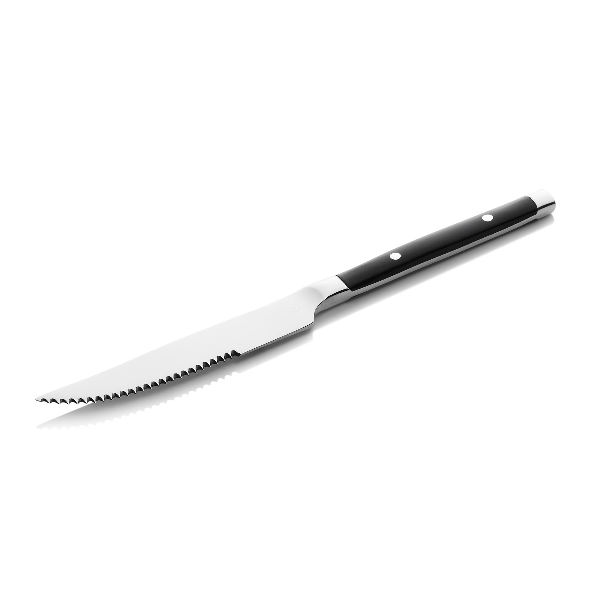 Steakmesser Set BISTRO TREND, 21 cm, mit Kunststoffgriff