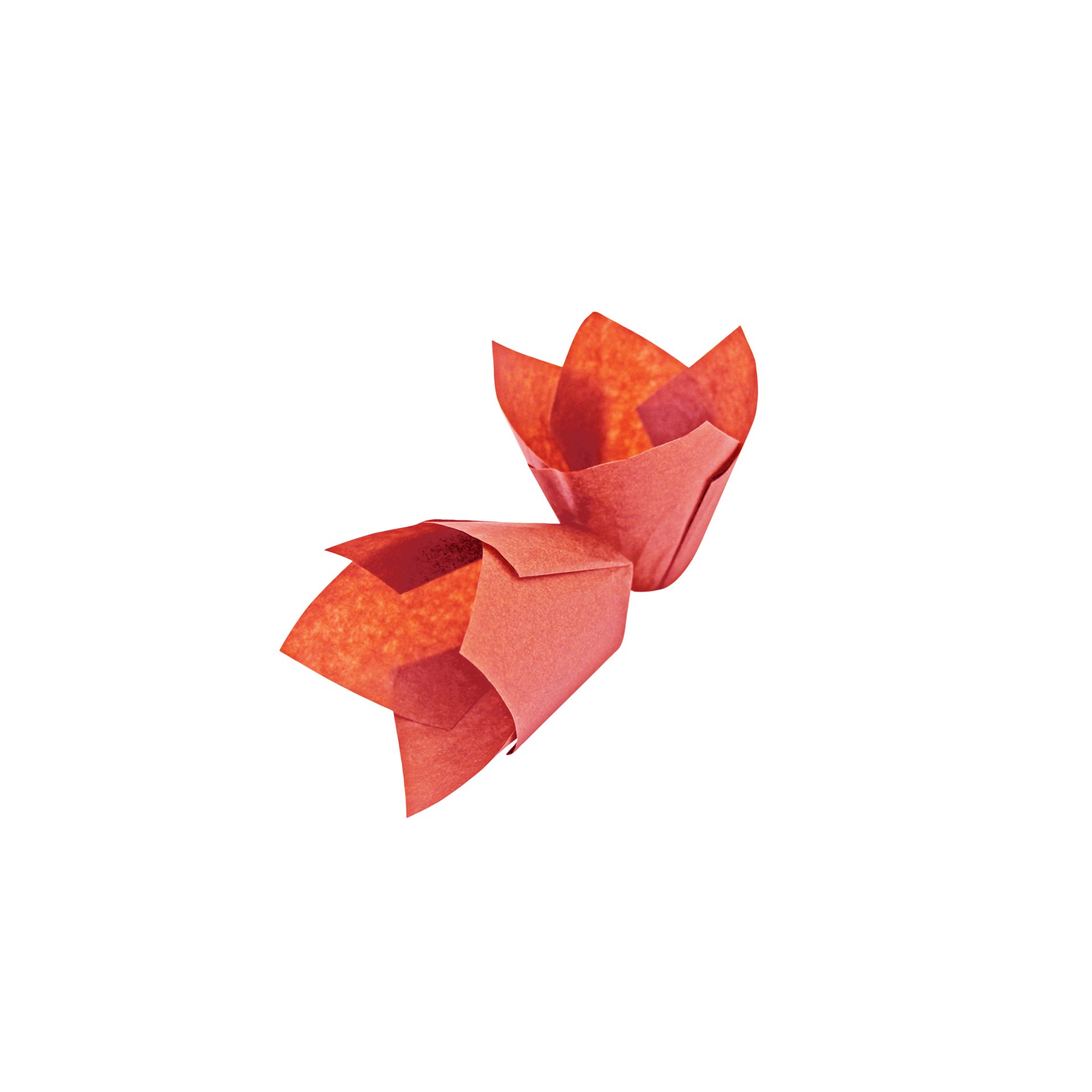 Muffinform Tulpe, rot