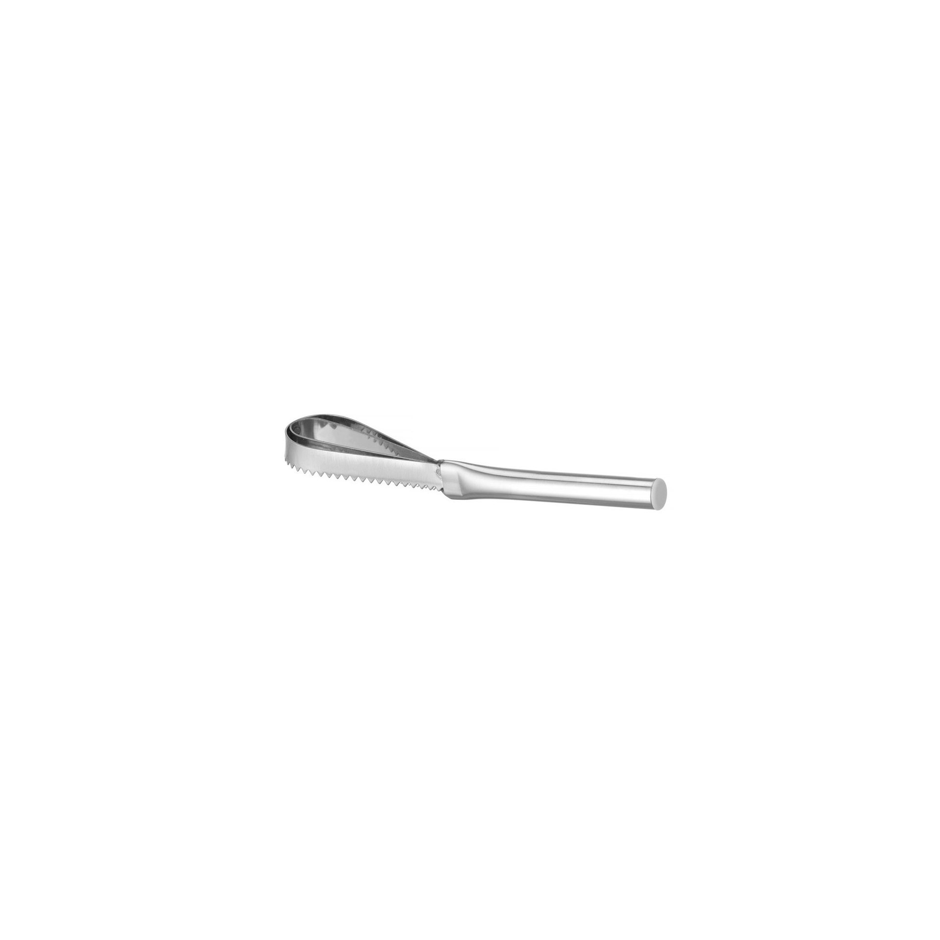 Fischentschupper, 240x46mm Fischentschupper, 240x46mm
