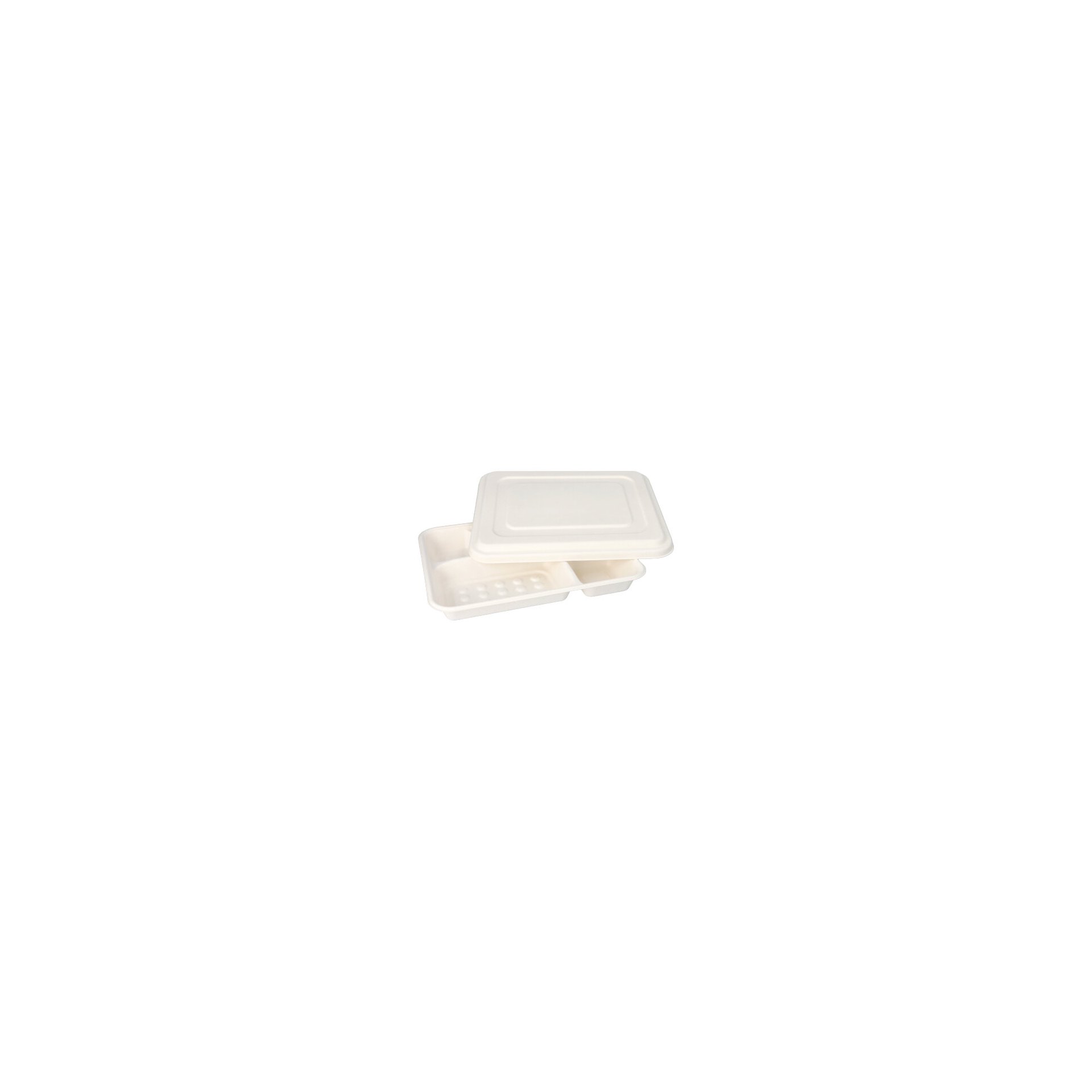 Menü-Trays, Zuckerrohr "pure" 5-geteilt 3,7 cm x 22 cm x 28,2 cm weiss