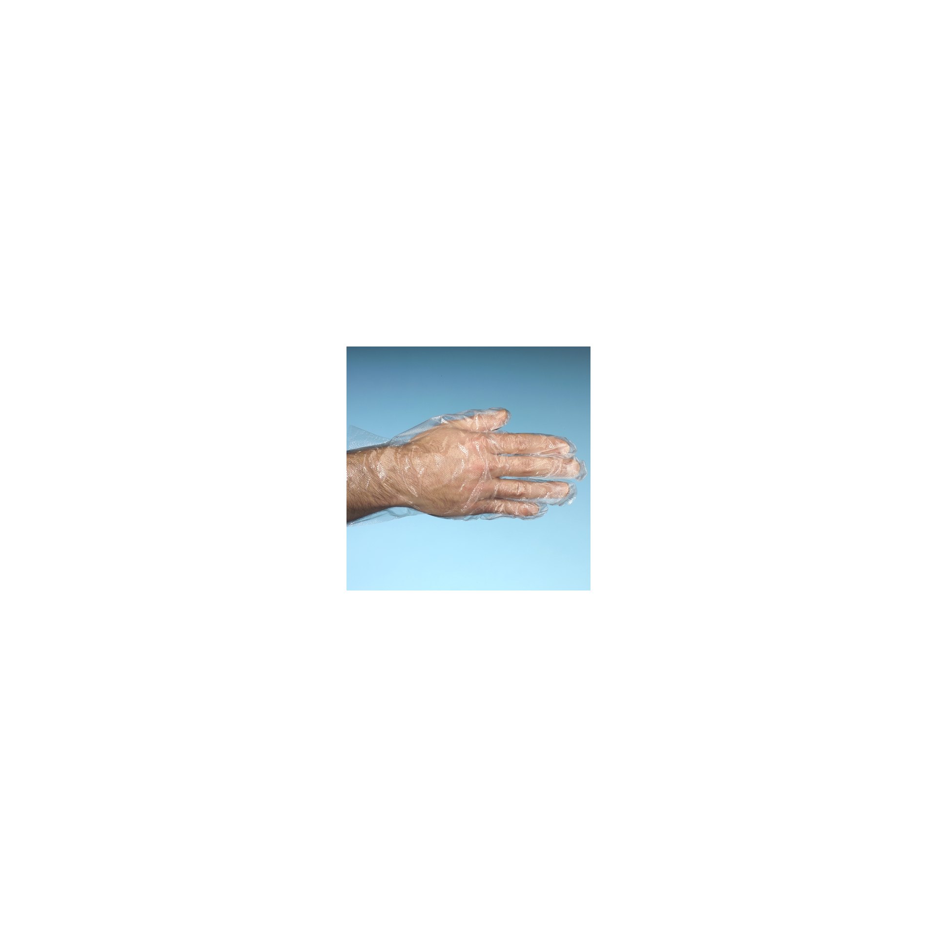 "WORK-INN/-PS" Handschuhe, PE transparent für Herren, L "WORK-INN/-PS" Handschuhe, PE transparent für Herren, L