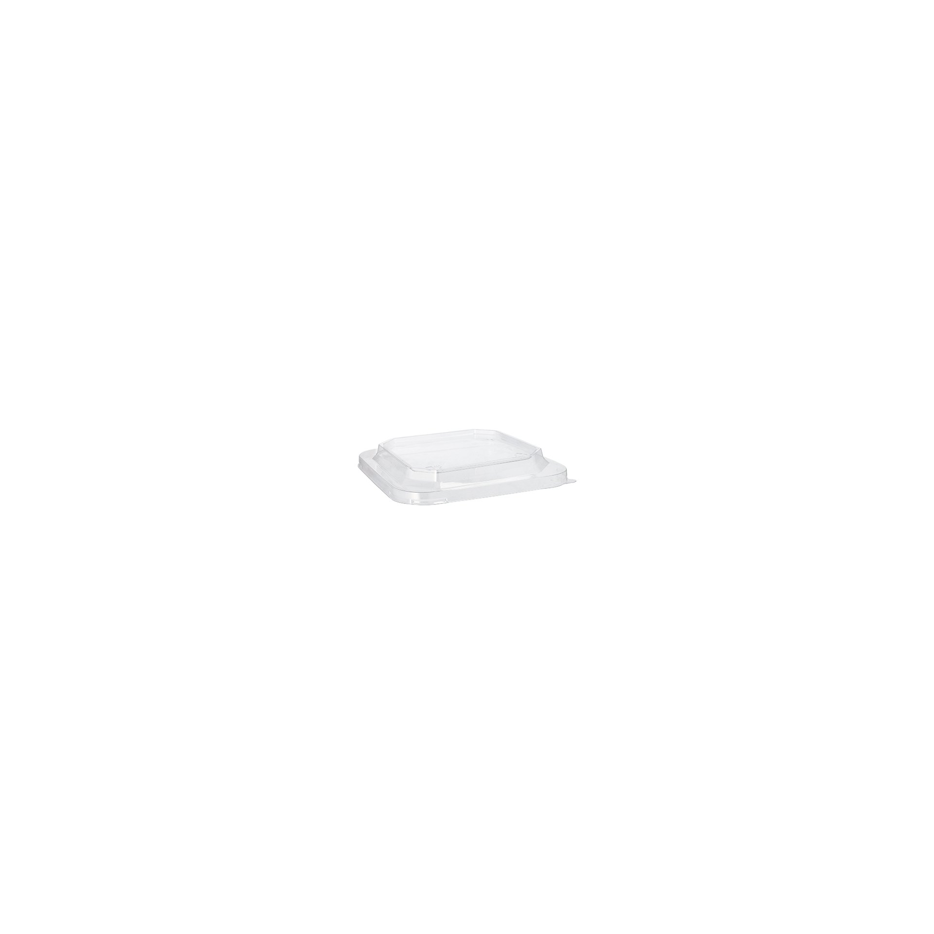 Deckel für Lunchboxen PET eckig 2,5 cm x 18 cm x 18 cm transparent