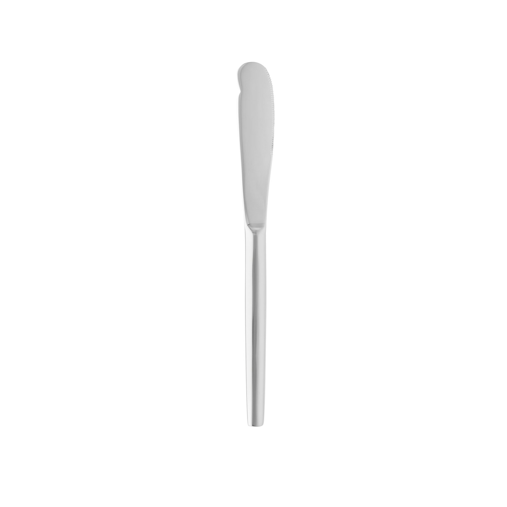 Buttermesser Set ALEX SILVER 18 cm