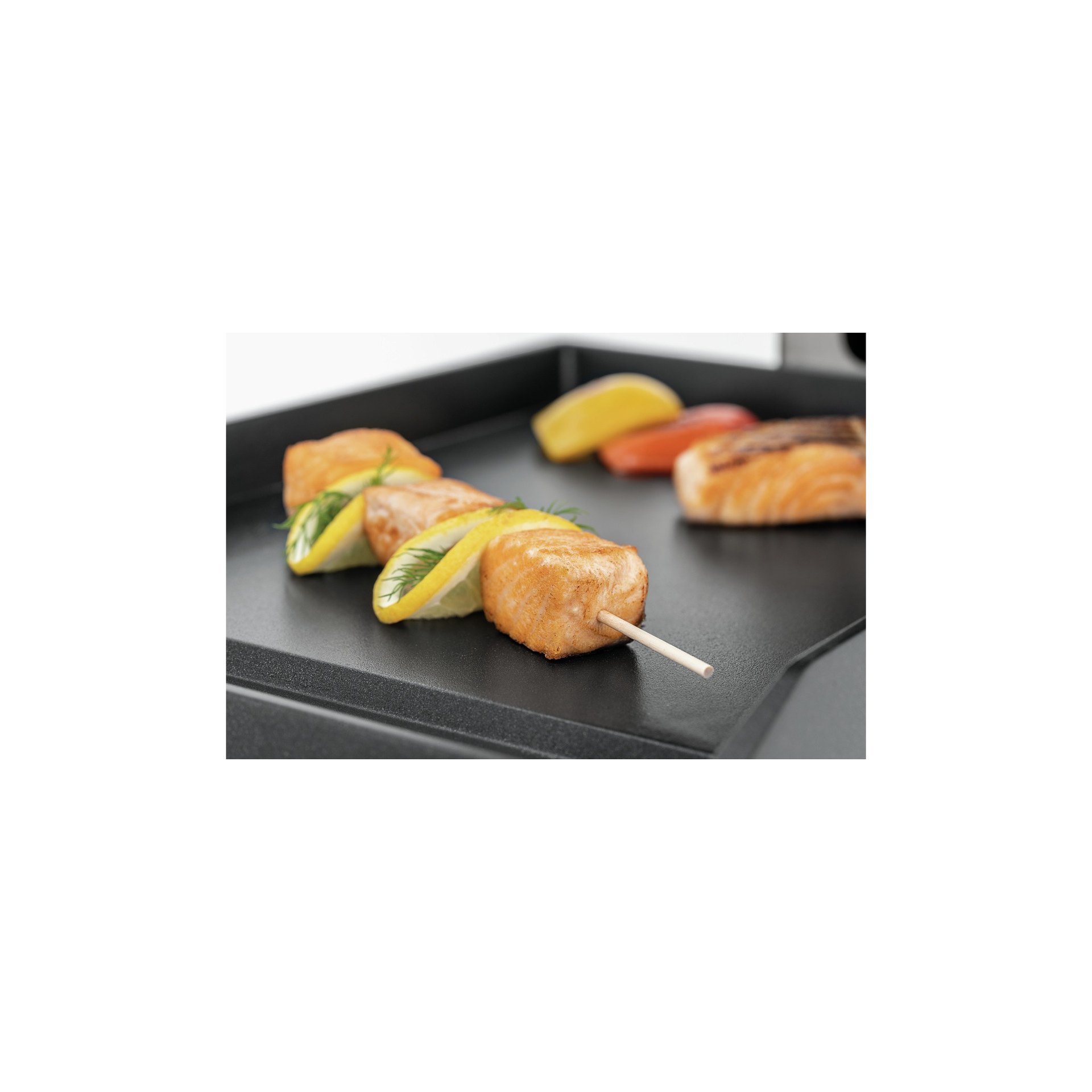 Kontaktgrill DT 2000 1G Kontaktgrill DT 2000 1G