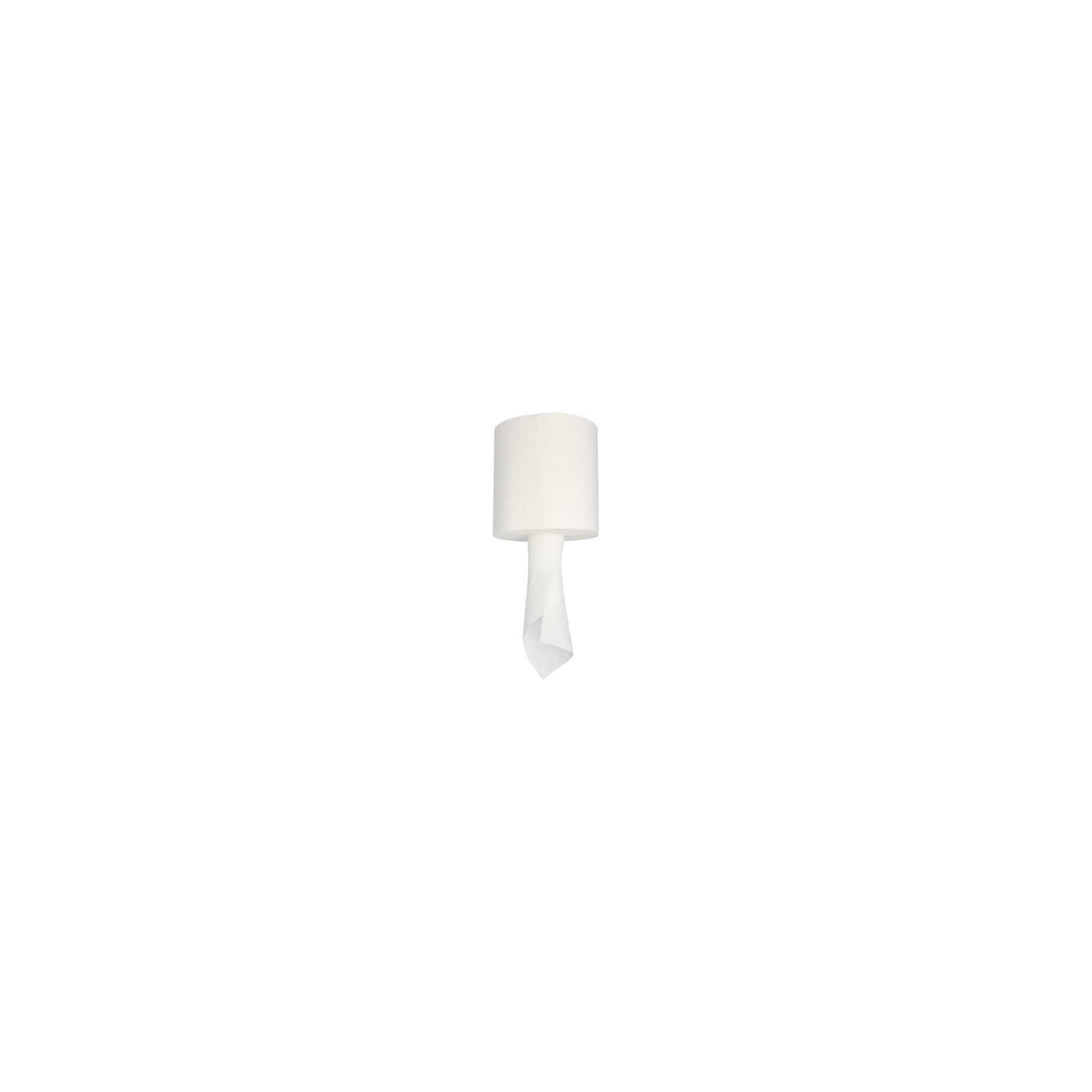 Universalrollen Ø 19 cm · 109 m x 19,5 cm "Mikroprägung" Handtuchrollen, Innenauszug, 445 Blatt Universalrollen Ø 19 cm · 109 m x 19,5 cm "Mikroprägung" Handtuchrollen, Innenauszug, 445 Blatt