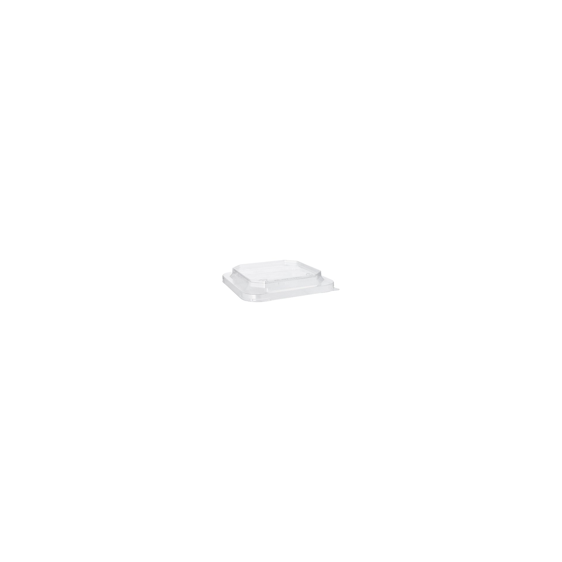 Deckel für Lunchboxen PET eckig 2,5 cm x 16,2 cm x 16,2 cm transparent Deckel für Lunchboxen PET eckig 2,5 cm x 16,2 cm x 16,2 cm transparent