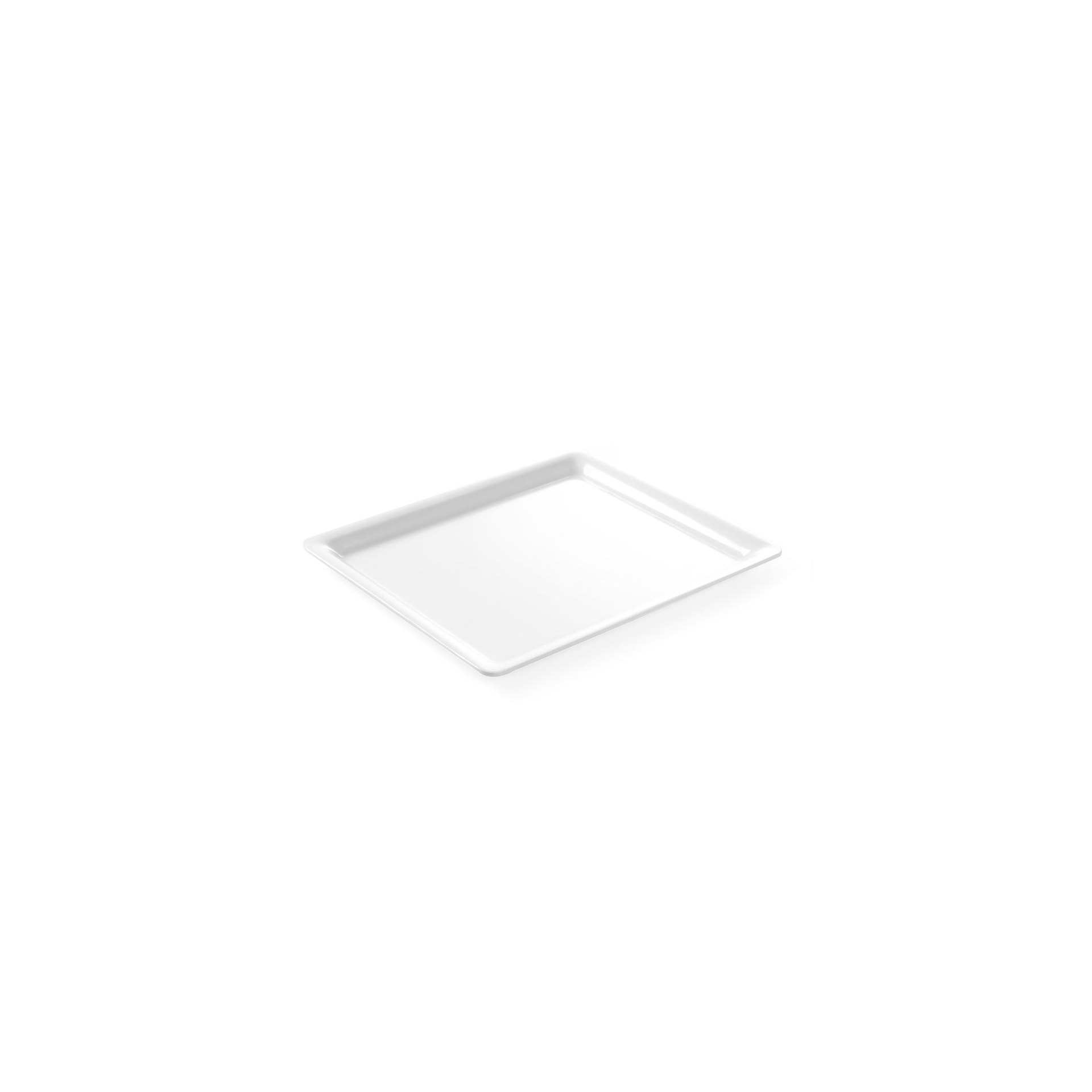 GN Tablett, GN 2/3, 354x325x(H)20mm