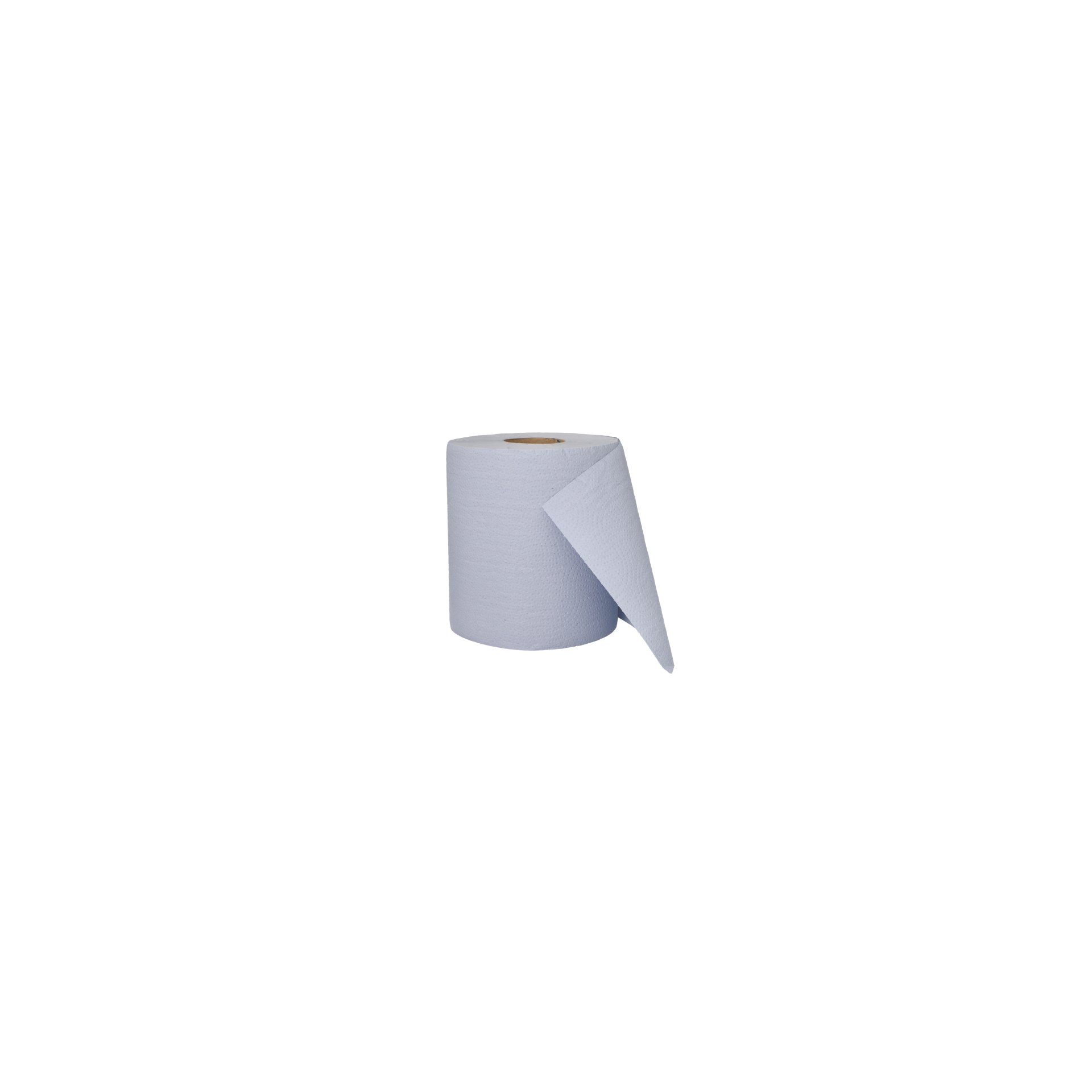 Putzrollen, 2-lagig Ø 20 cm · 167,5 m x 22 cm blau perforiert, 500 Abrisse, Blatt 22 x 33,5 cm