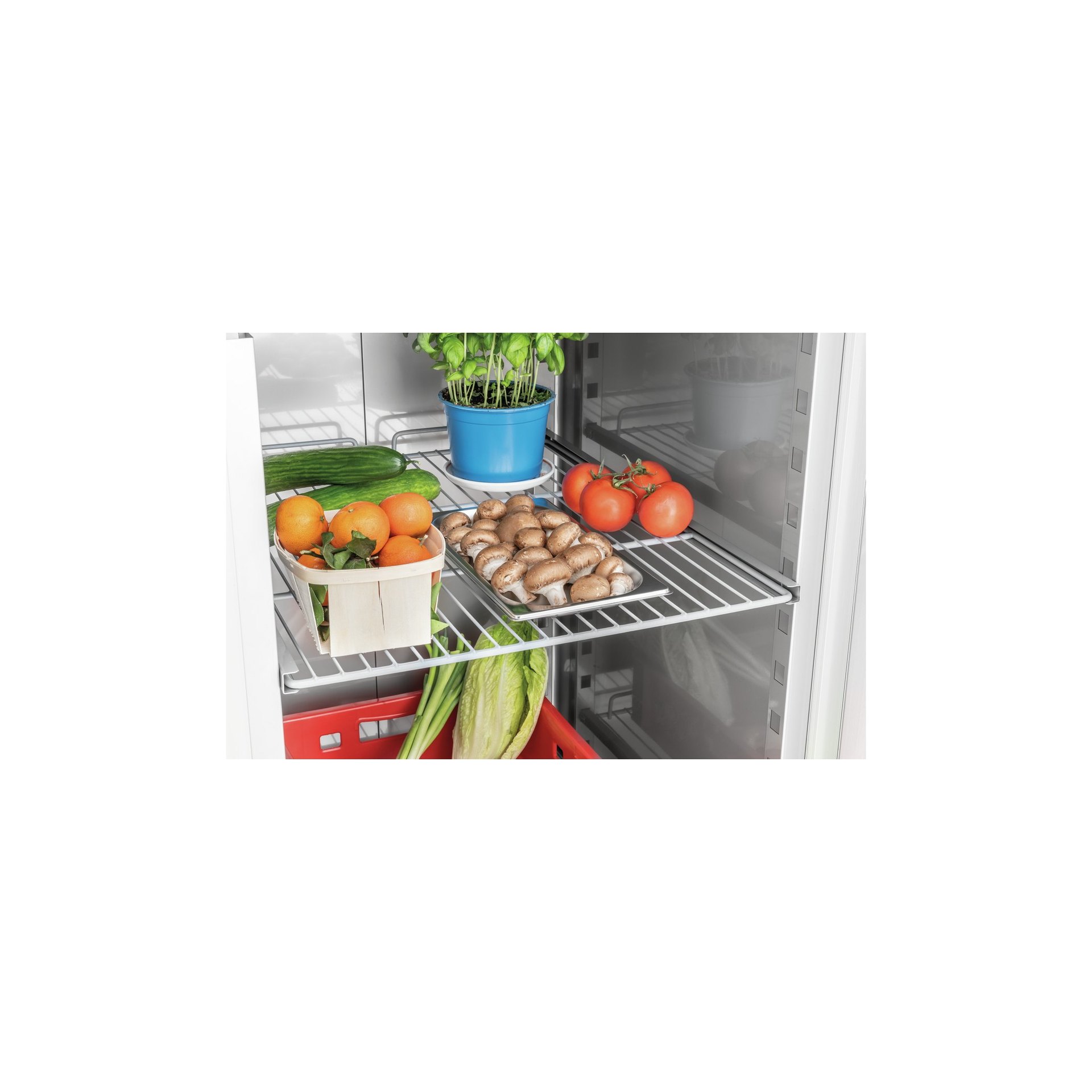 Kühlschrank KGN1-112 Kühlschrank KGN1-112