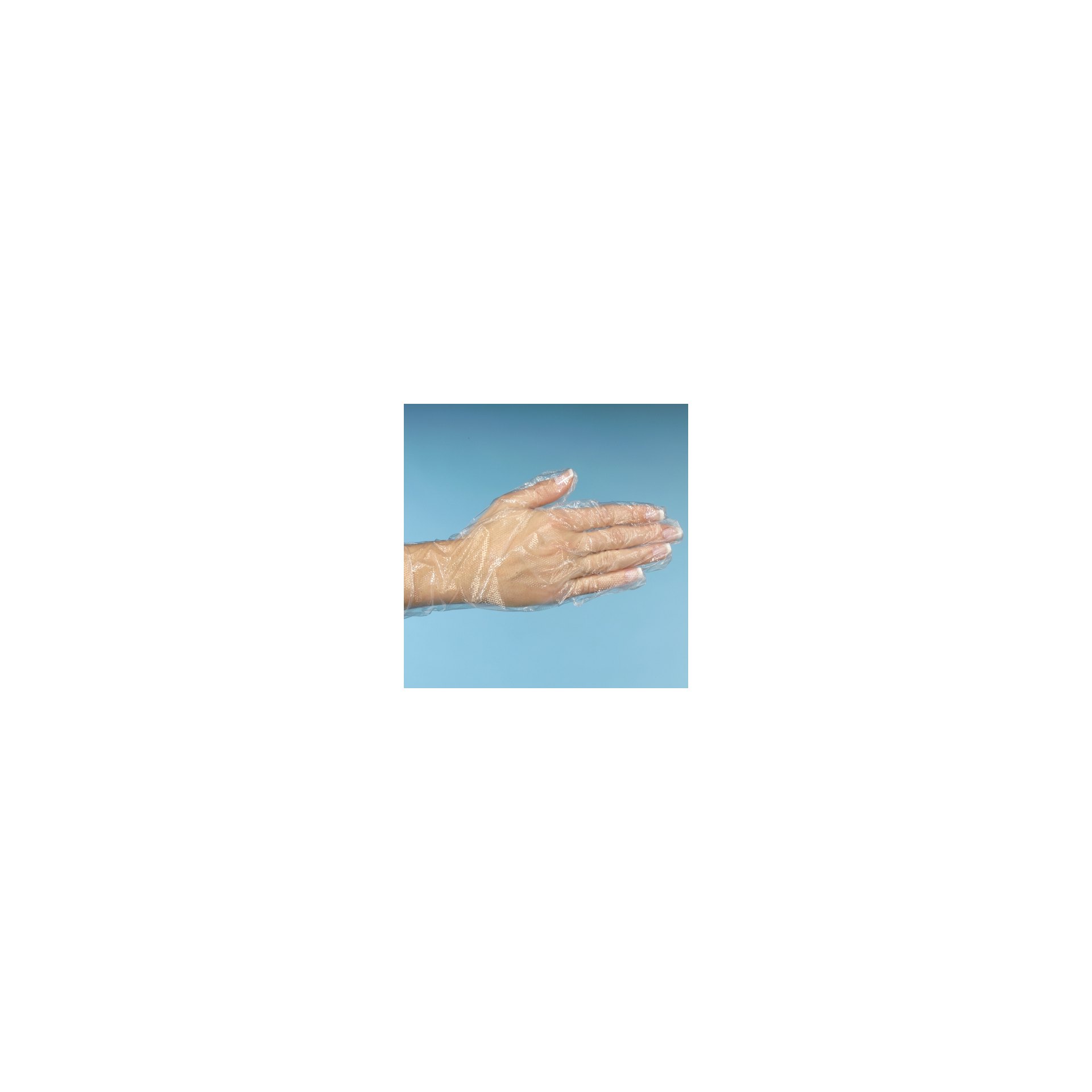 "WORK-INN/-PS" Handschuhe, PE transparent für Damen, M "WORK-INN/-PS" Handschuhe, PE transparent für Damen, M