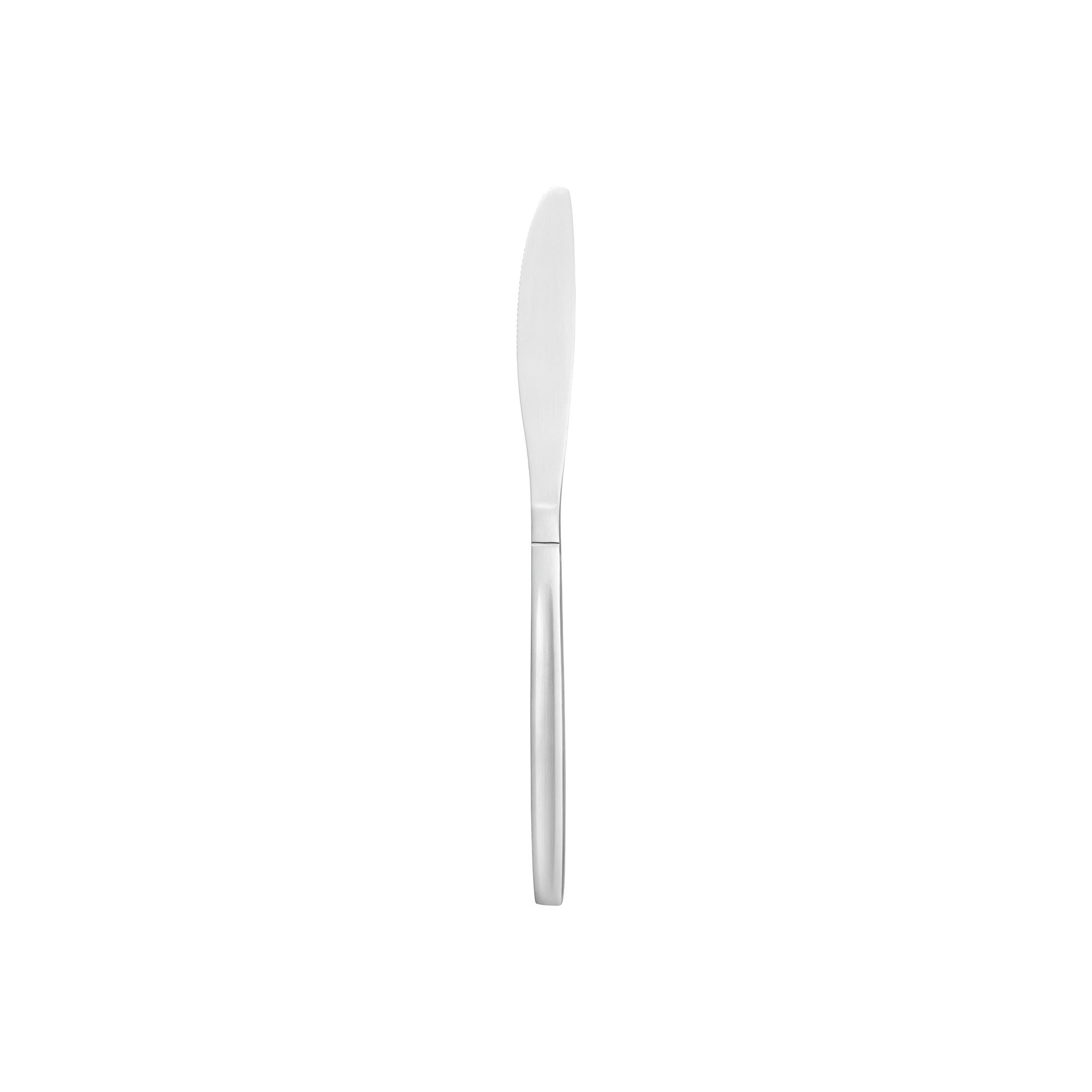 Menümesser (L) 21 cm, Serie NP80 Eco