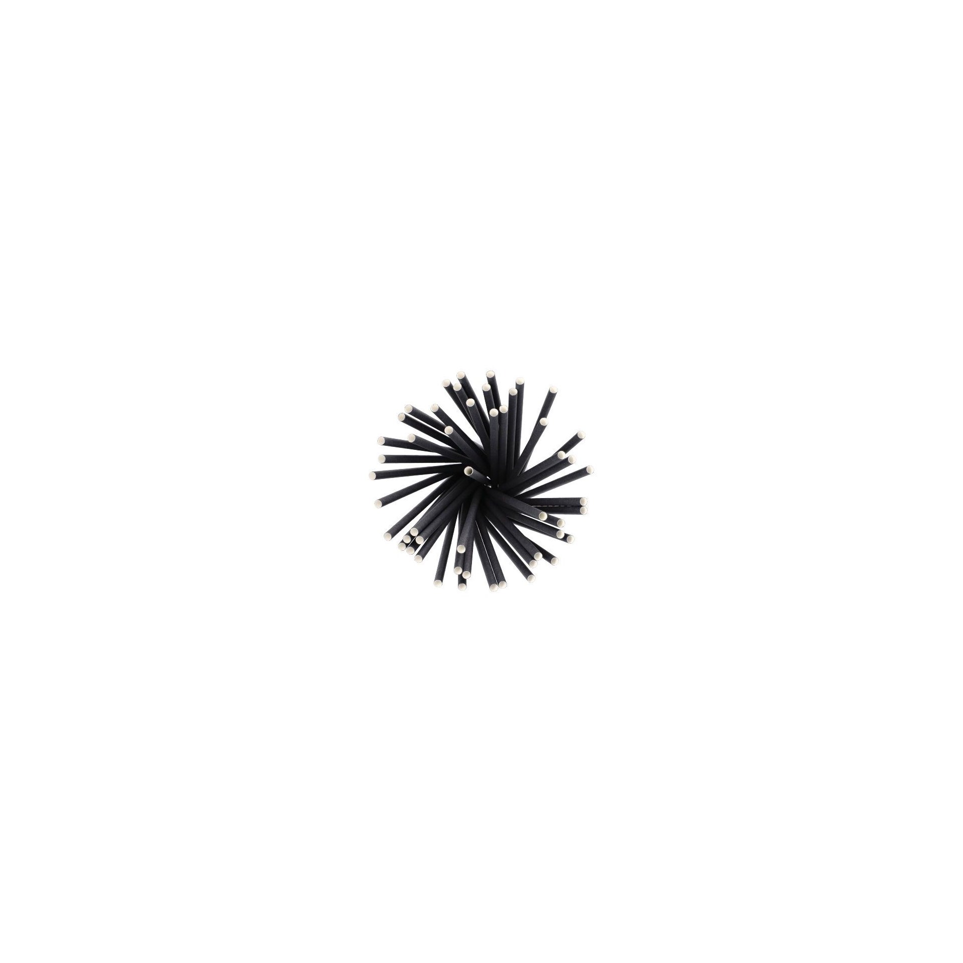Shake-Halme, Papier Ø 8 mm · 25 cm schwarz Shake-Halme, Papier Ø 8 mm · 25 cm schwarz