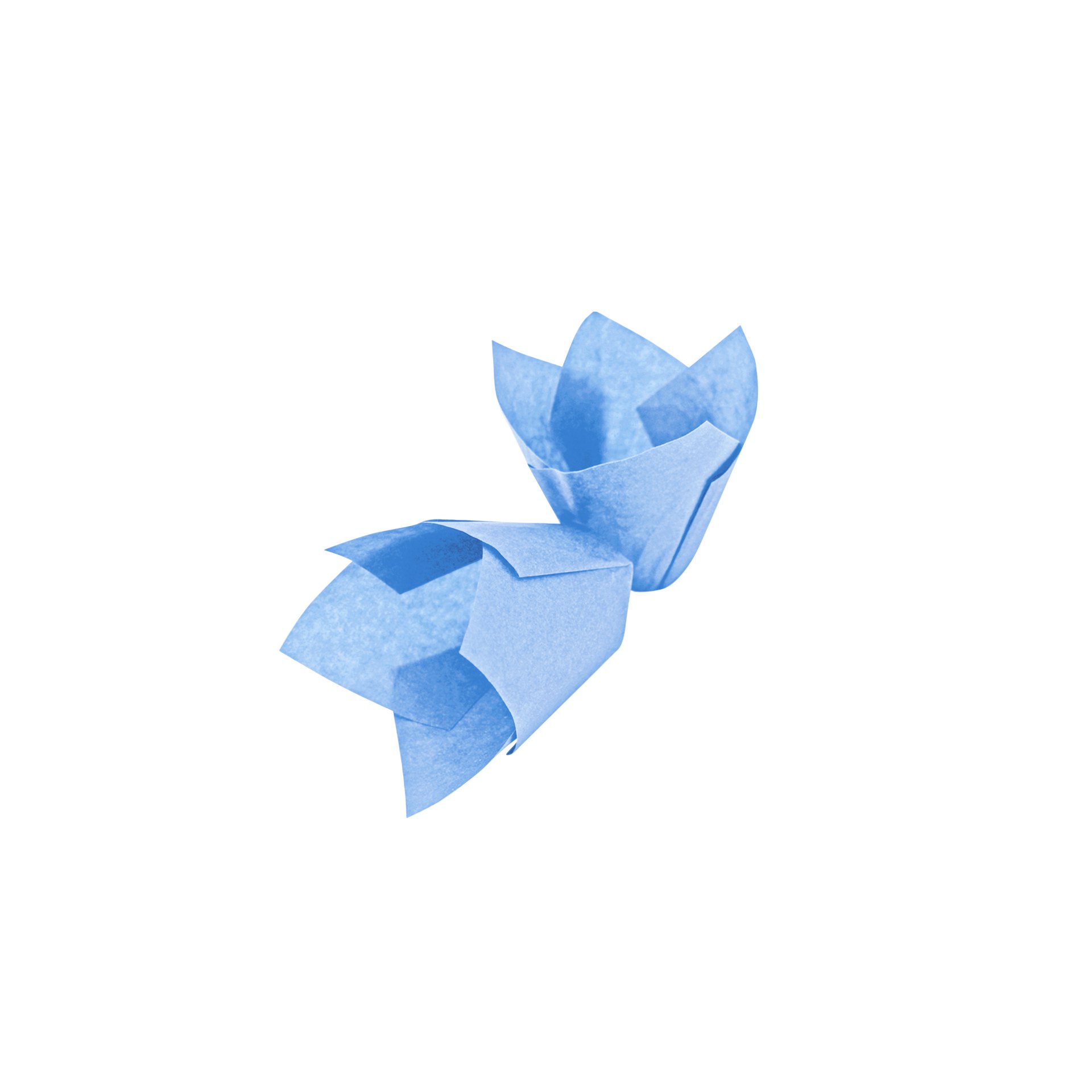 Muffinform Tulpe, blau Muffinform Tulpe, blau