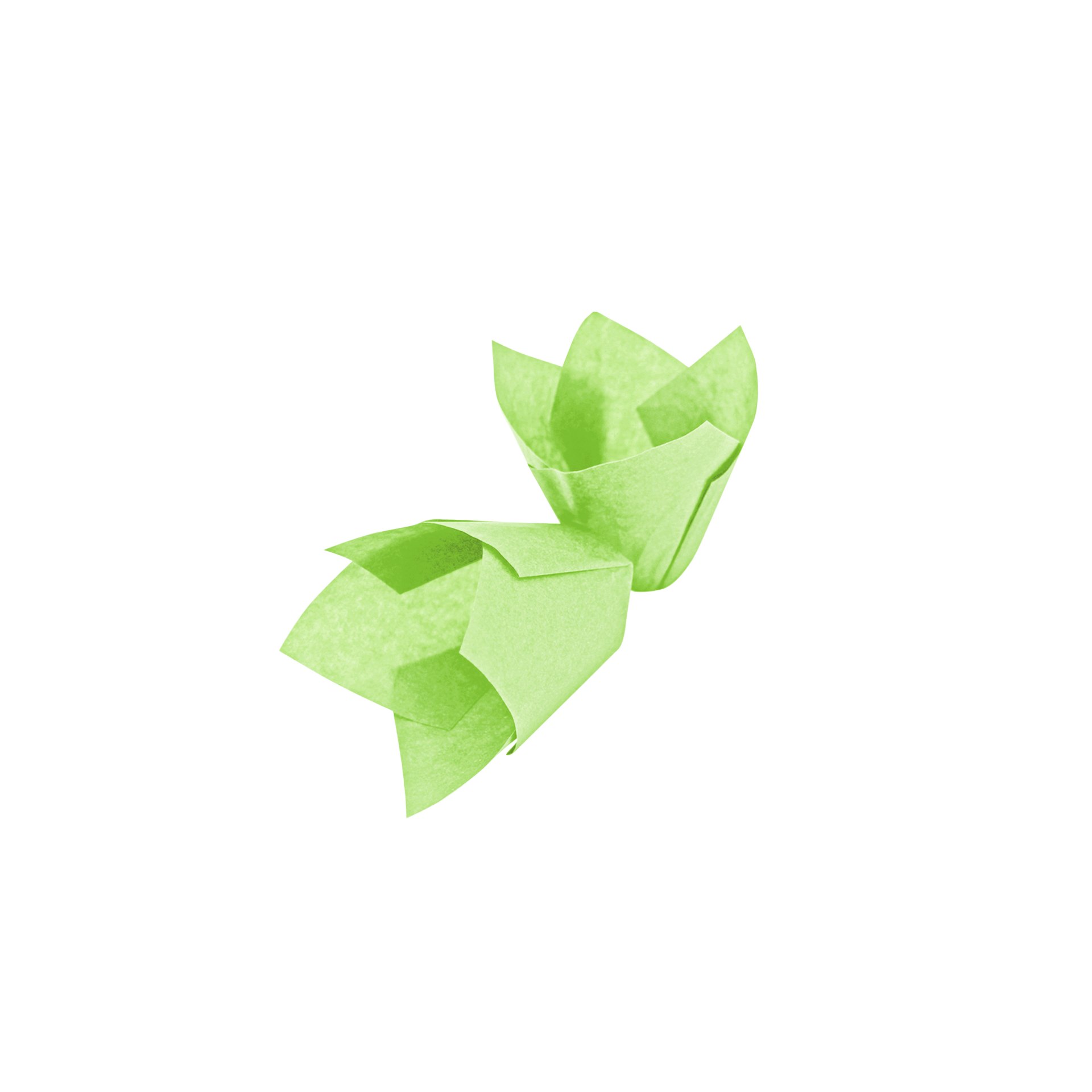 Muffinform Tulpe, grün