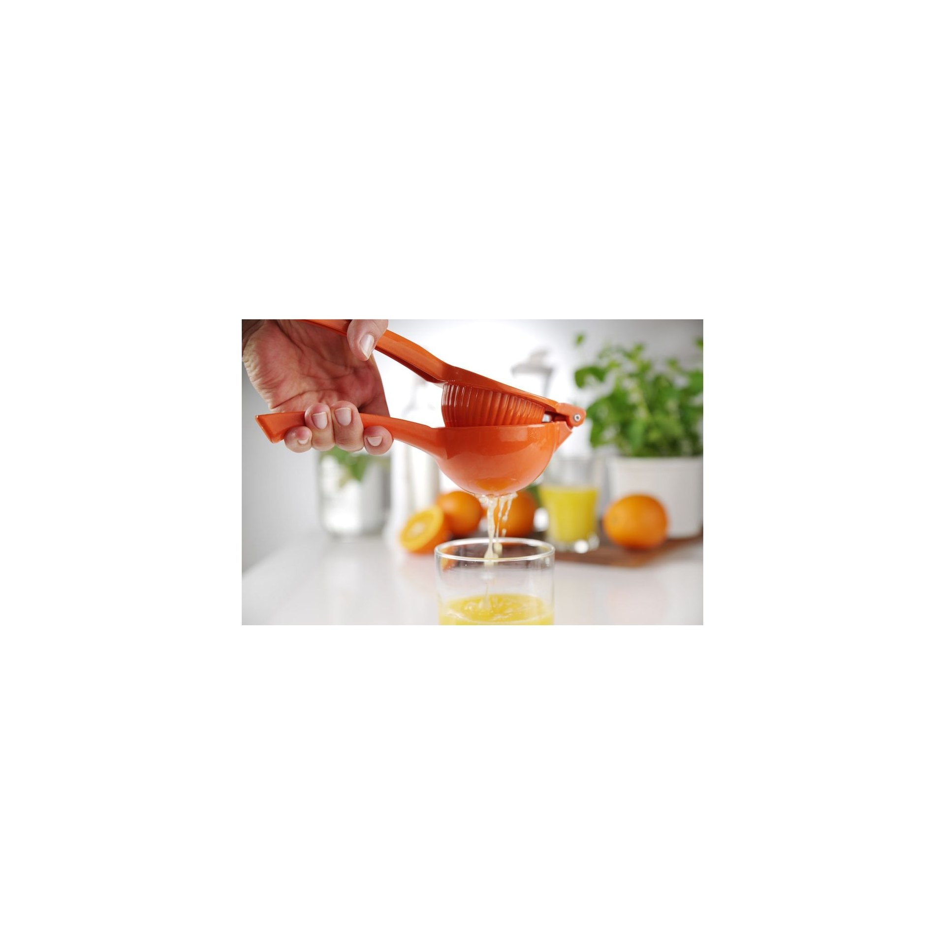 Zitruspresse, BarUp, orange (für Orangen), 232x91x(H)60mm Zitruspresse, BarUp, orange (für Orangen), 232x91x(H)60mm