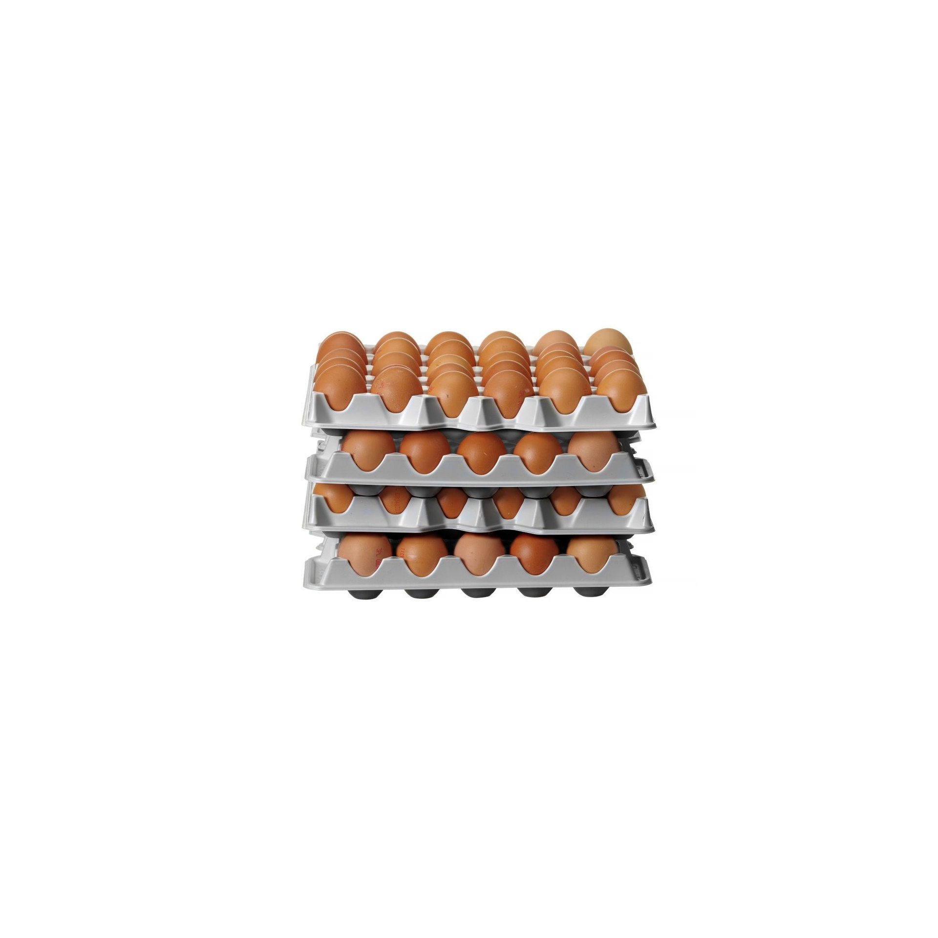Set aus 4 Eierbehältereinsätzen für HENDI OVOBOX 120 , 291x288x(H)41mm