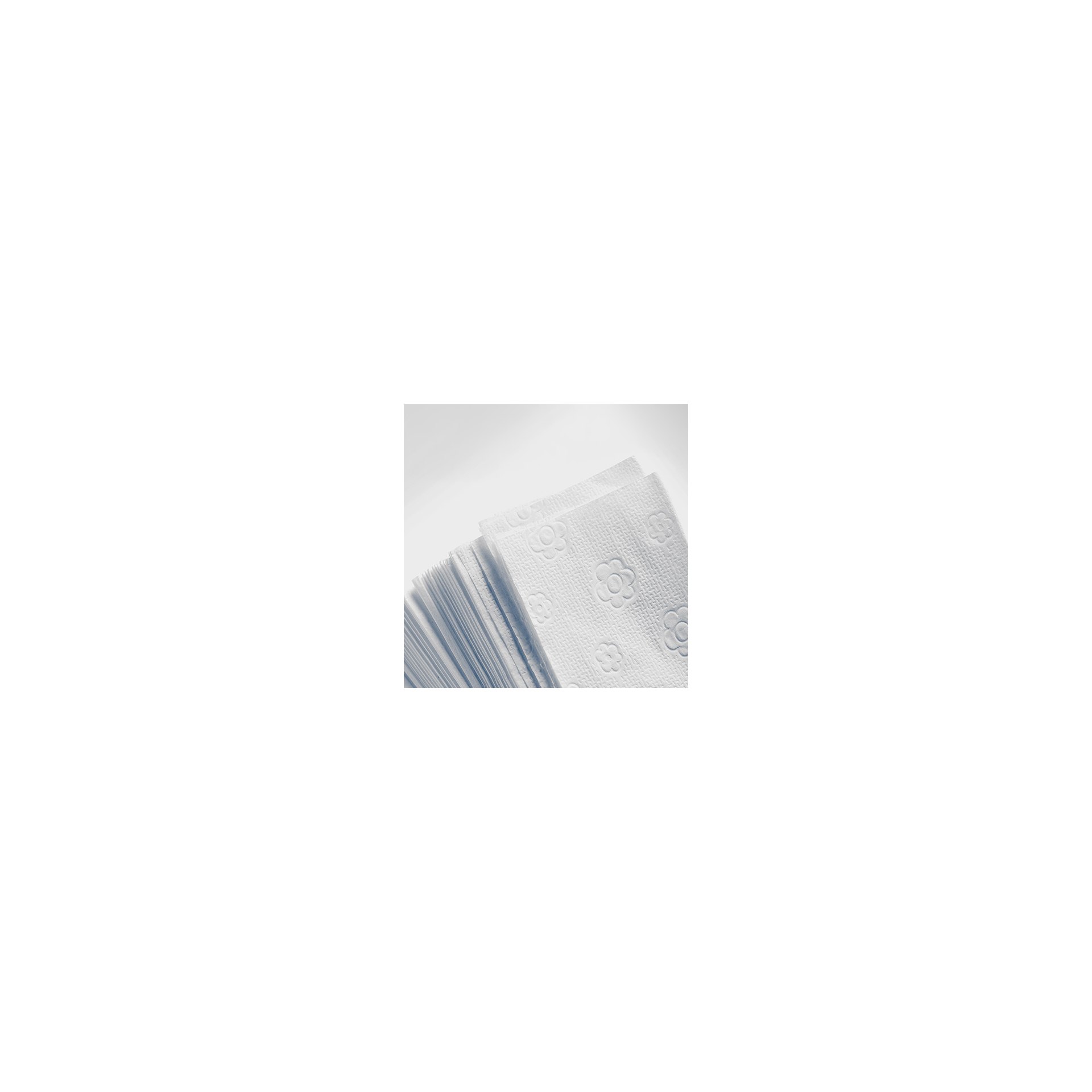 Blatt Handtuchpapier V-Falz 23 cm x 25 cm weiss "Eco" 2-lagig (20x160)