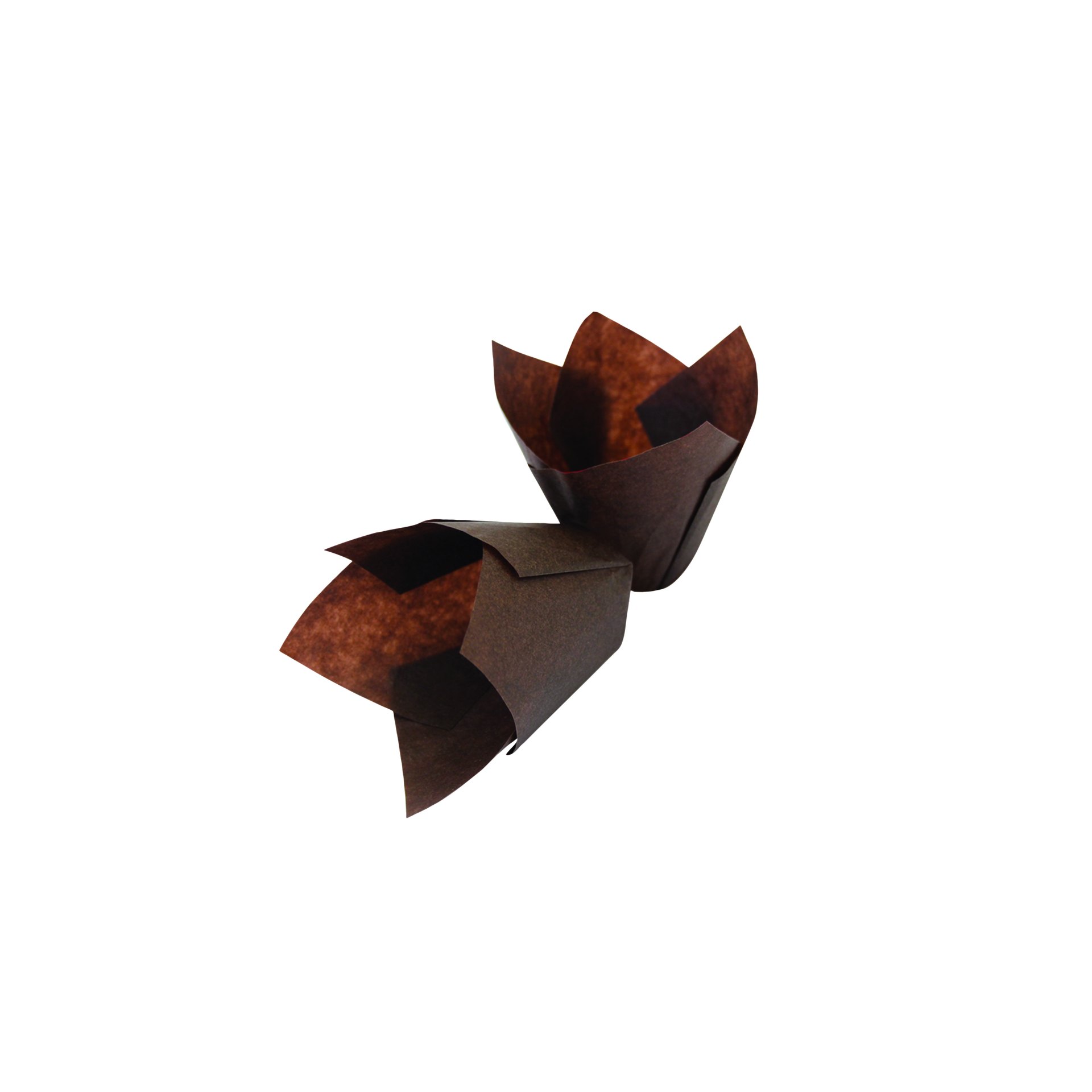 Muffinform Tulpe, braun