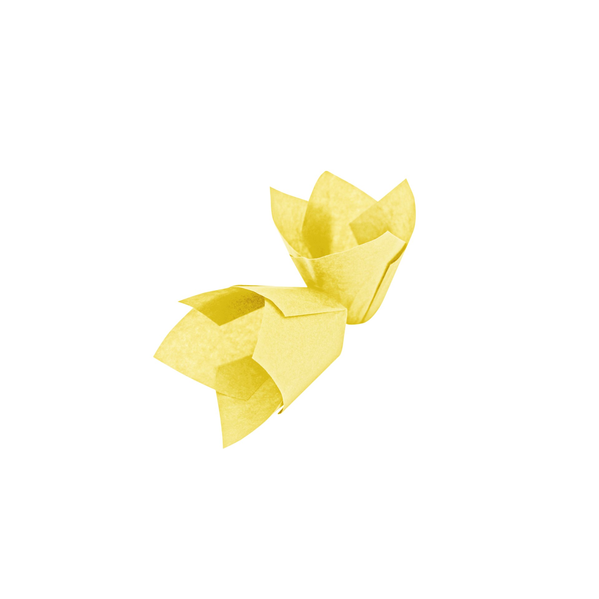 Muffinform Tulpe, gelb
