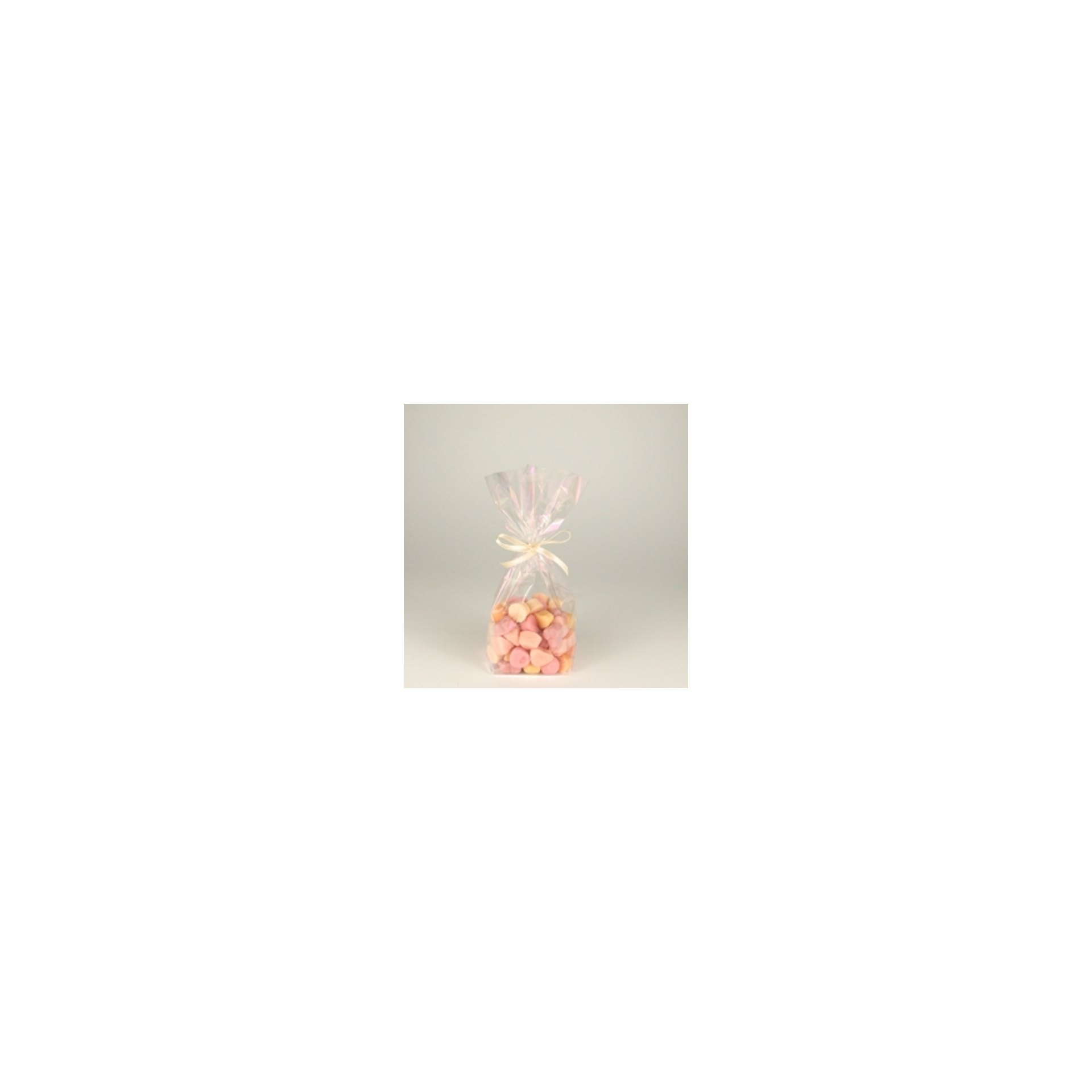 Bodenbeutel, PP 23,5 cm x 14,5 cm x 5,8 cm transparent Bodenbeutel, PP 23,5 cm x 14,5 cm x 5,8 cm transparent